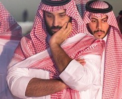 wald salmaan 1