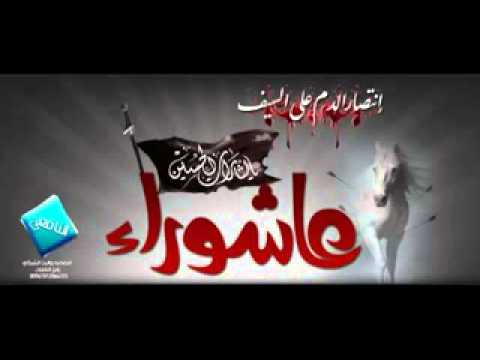 سيد حسن